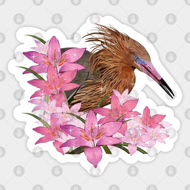 Reddish Egret Sticker by obscurite